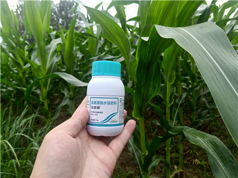 安碧解，拉姆拉