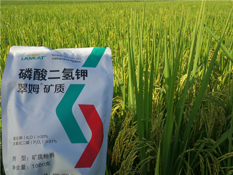 葉面肥，水稻灌漿肥，拉姆拉