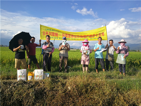 葉面肥，水稻灌漿肥，拉姆拉