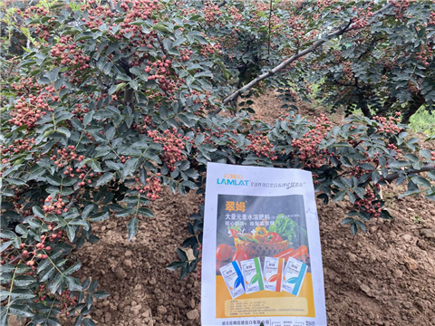 花椒種植，大量元素水溶肥，翠姆