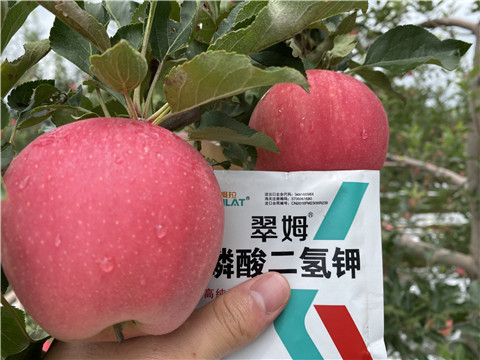 高鉀水溶肥，磷酸二氫鉀，拉姆拉，翠姆