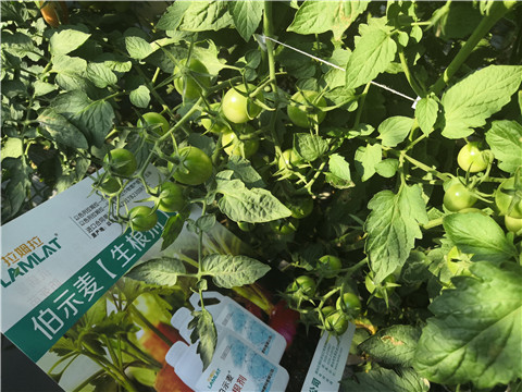 水溶肥，拉姆拉