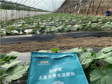 水溶肥，拉姆拉