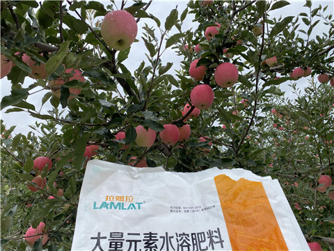 進口水溶肥品牌，拉姆拉，翠姆