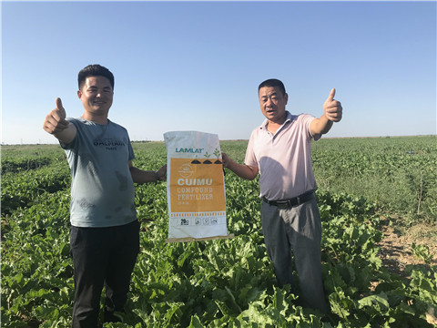 進口水溶肥品牌，拉姆拉，翠姆