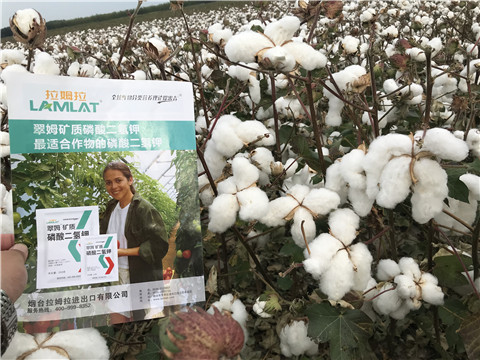 進(jìn)口水溶肥，翠姆，拉姆拉