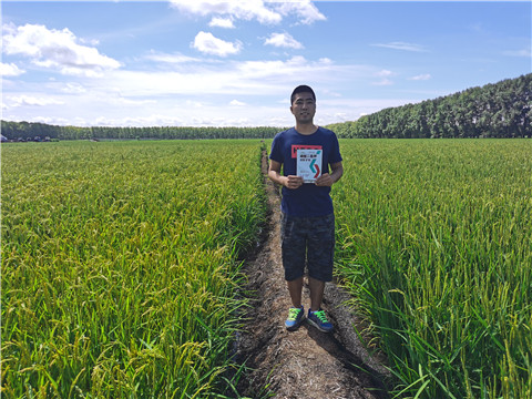 磷酸二氫鉀，拉姆拉，翠姆