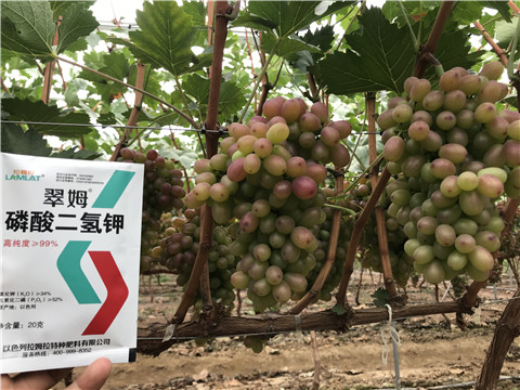 進(jìn)口水溶肥，拉姆拉