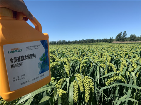 磷酸二氫鉀，拉姆拉，翠姆