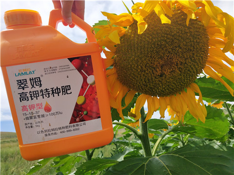 進口水溶肥，拉姆拉