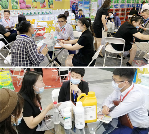 植保會(huì)，拉姆拉，翠姆