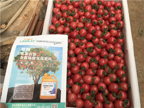 微生物菌劑，磷酸二氫鉀，翠姆，拉姆拉