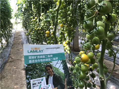 微生物菌劑，磷酸二氫鉀，翠姆，拉姆拉