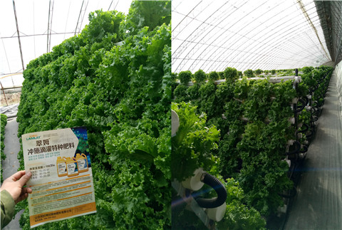 水溶肥，拉姆拉，翠姆