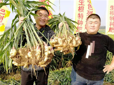 水溶肥，翠姆，拉姆拉