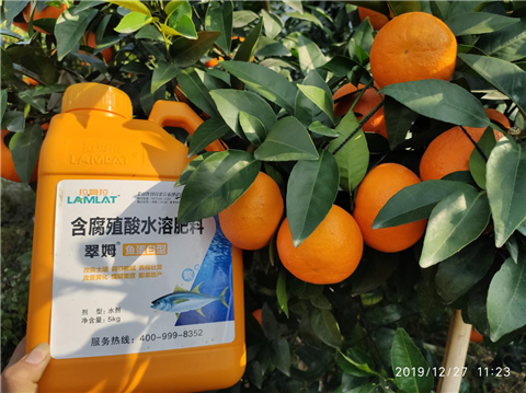 水溶肥，翠姆，拉姆拉