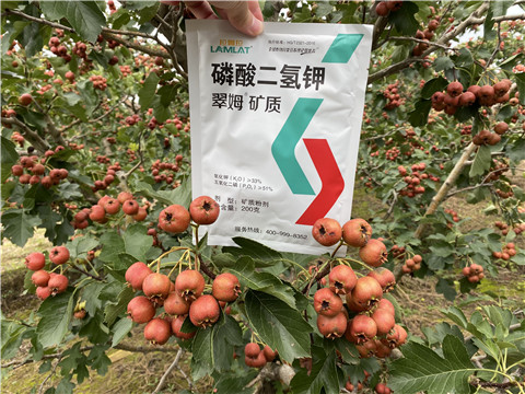 磷酸二氫鉀，拉姆拉，翠姆