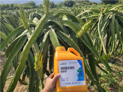 水溶肥，拉姆拉，翠姆