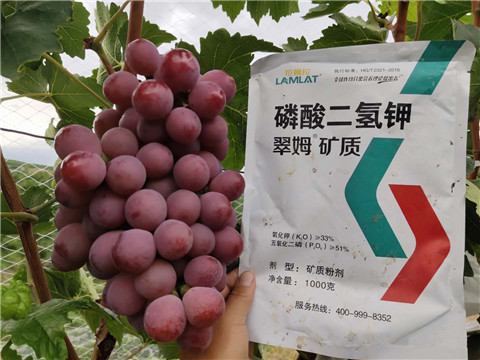 進口水溶肥，拉姆拉，翠姆