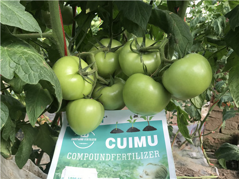 葉面肥，磷酸二氫鉀，微生物菌劑，翠姆，拉姆拉