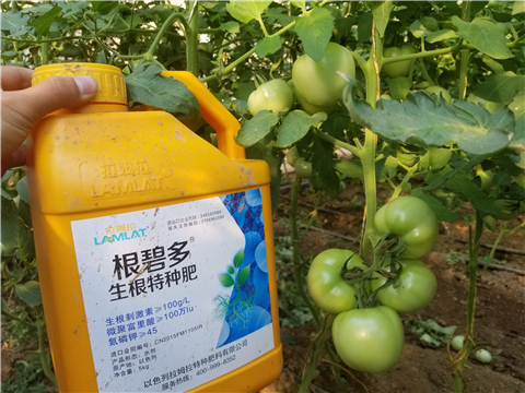 葉面肥，磷酸二氫鉀，微生物菌劑，翠姆，拉姆拉