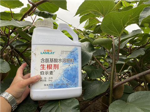 水溶肥，生根劑，微生物菌劑，伯示麥，拉姆拉