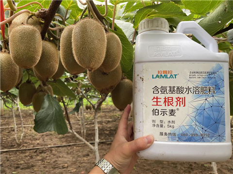 水溶肥，生根劑，微生物菌劑，伯示麥，拉姆拉