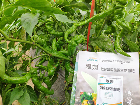 水溶肥，拉姆拉