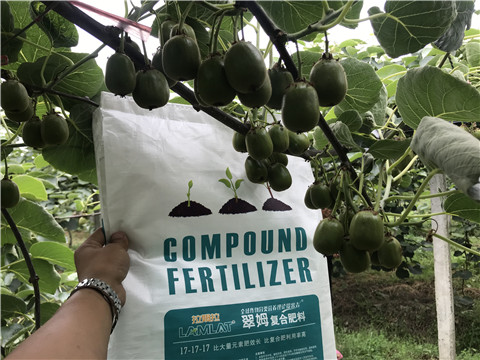 顆粒水溶肥，拉姆拉，翠姆