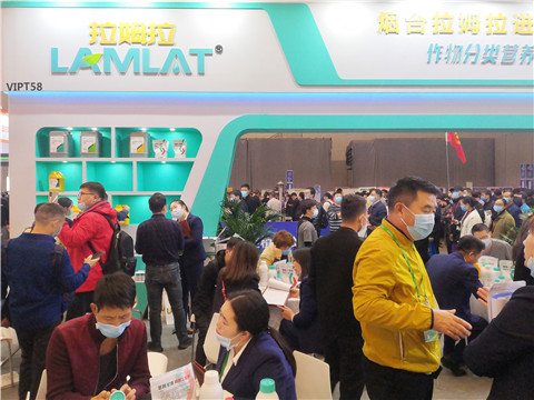 進(jìn)口水溶肥，拉姆拉，翠姆