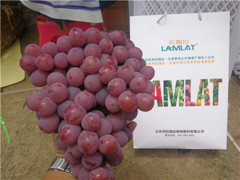 葉面肥，磷酸二氫鉀，鈣肥，翠姆，拉姆拉