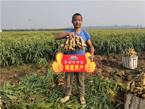 進(jìn)口水溶肥，拉姆拉，翠姆