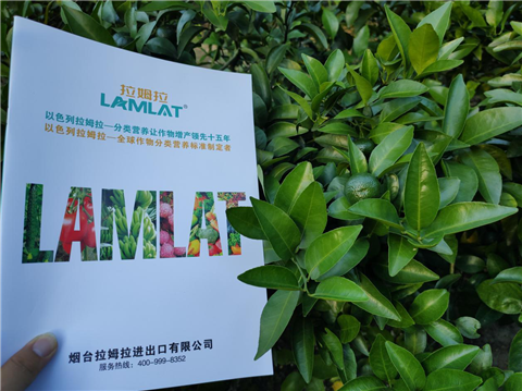 水溶肥，拉姆拉，翠姆