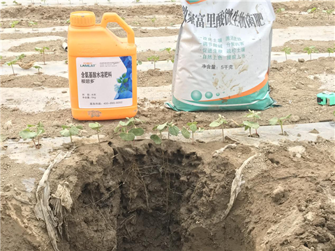 水溶肥，拉姆拉，翠姆