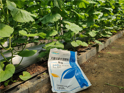 大量元素水溶肥，拉姆拉，翠姆