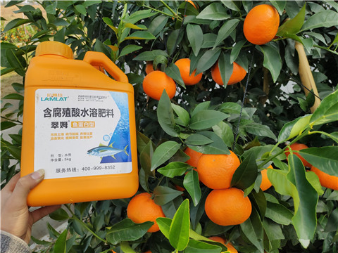 滴灌肥，拉姆拉，翠姆