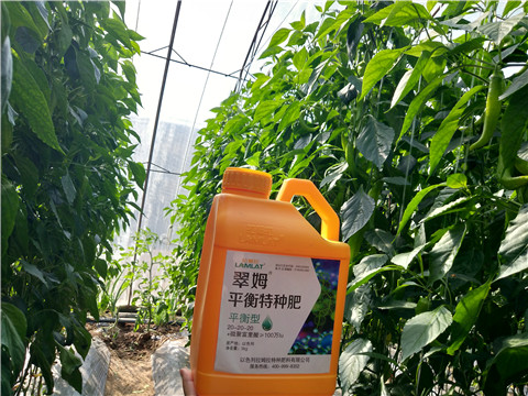 滴灌肥，拉姆拉，翠姆