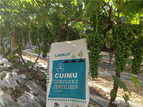 水溶肥，拉姆拉，翠姆