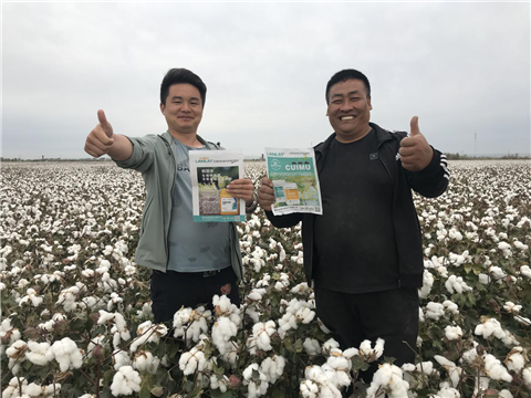 棉花，水溶肥，拉姆拉，翠姆