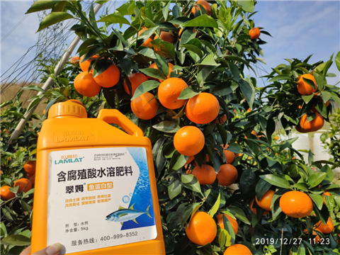 水溶肥，拉姆拉，翠姆