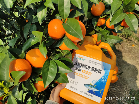 水溶肥，拉姆拉，翠姆