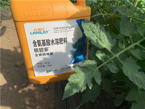 水溶肥，拉姆拉，翠姆