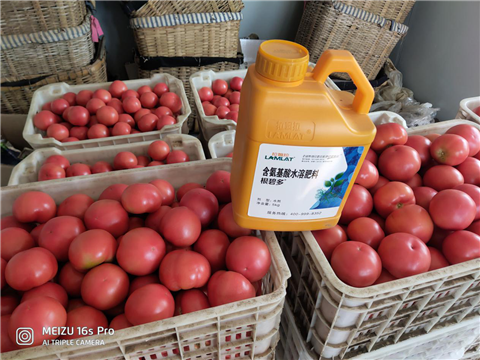 水溶肥，拉姆拉，翠姆