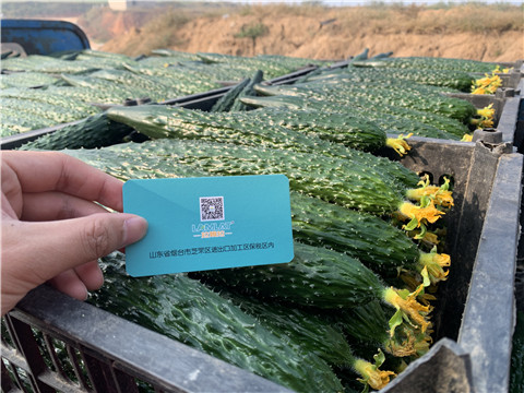 水溶肥，拉姆拉，伯示麥