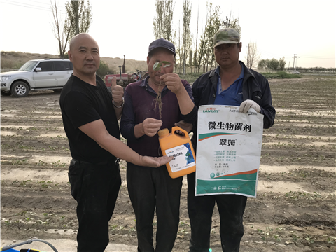 水溶肥，拉姆拉，翠姆