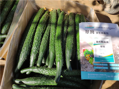 微生物菌劑，拉姆拉，翠姆