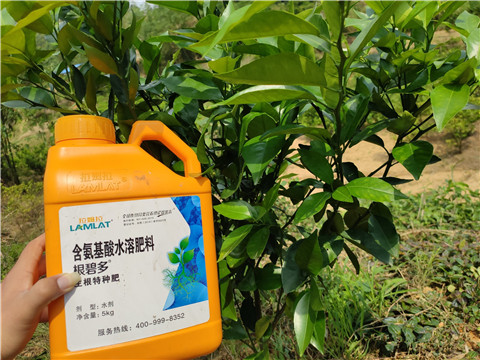 沖施肥，拉姆拉，翠姆