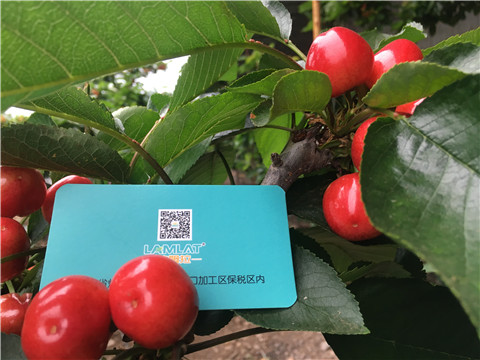 大量元素水溶肥，拉姆拉，翠姆