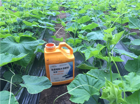 作物施肥管理，拉姆拉，翠姆