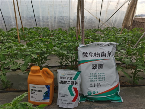 水溶肥，拉姆拉，翠姆